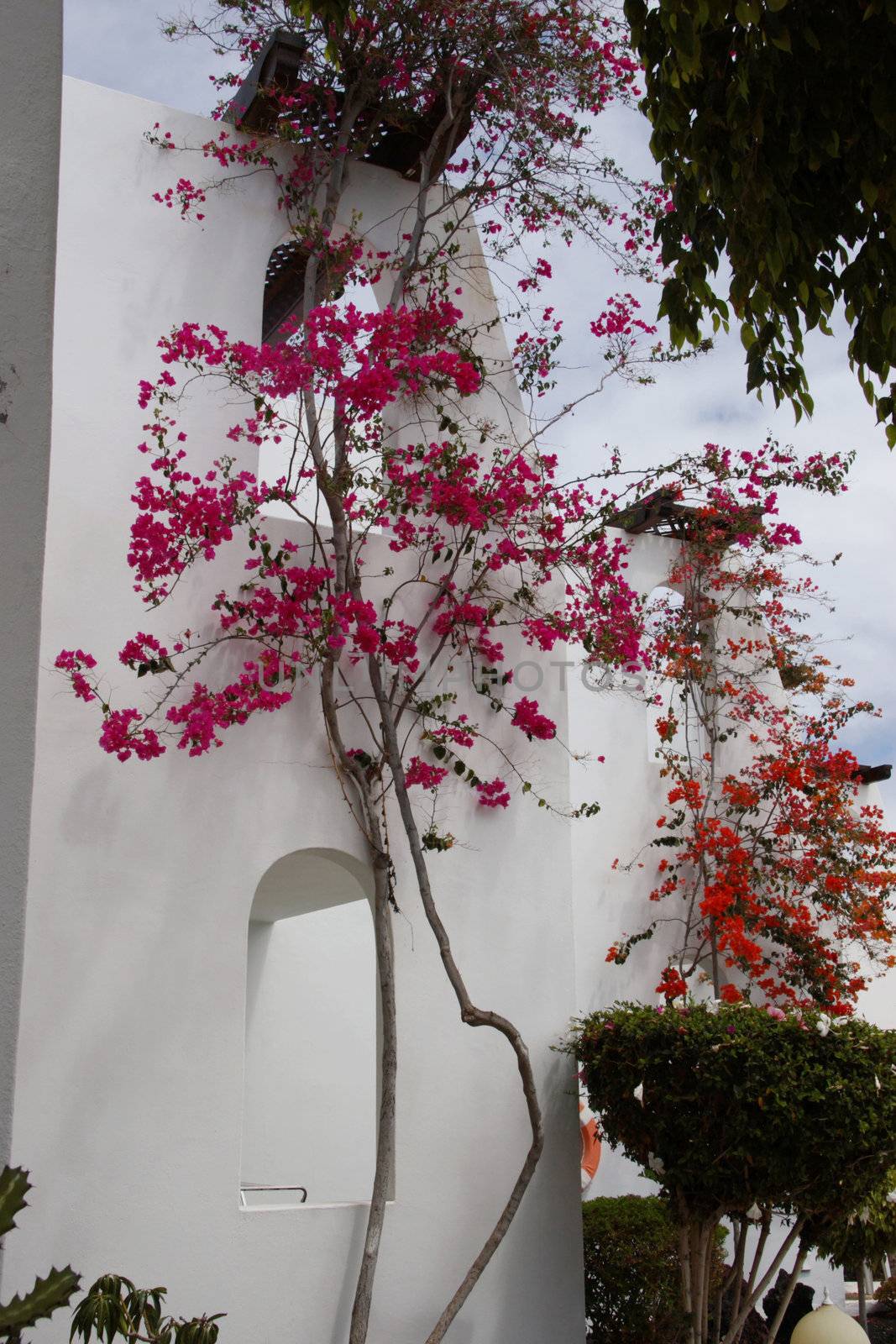 the side walls of some beautiful apartments