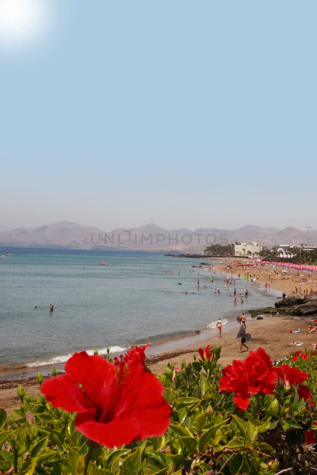 a view of a lanzarote beach strip