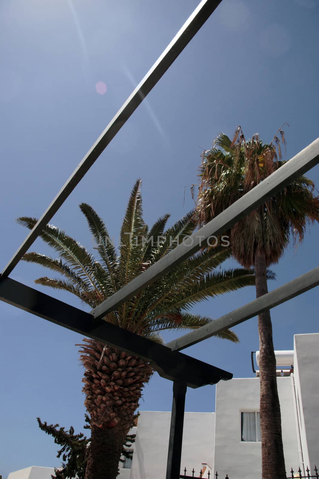 a court yard in a lanzarote apartment block