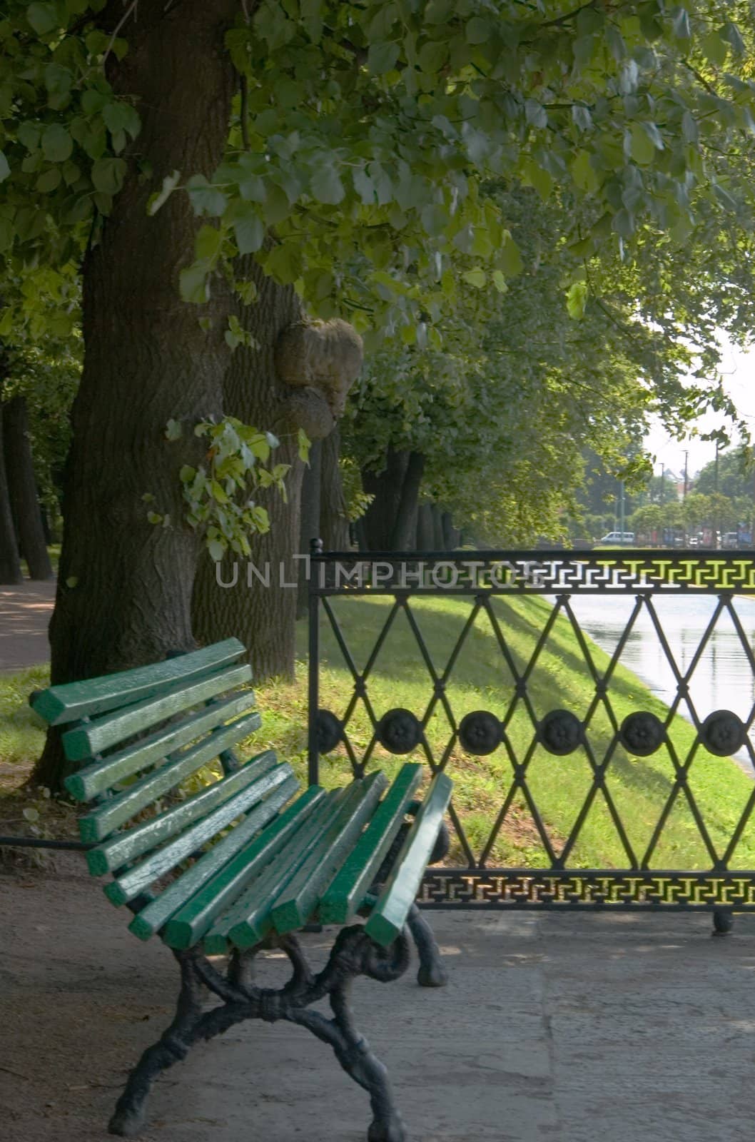Bench in summer park