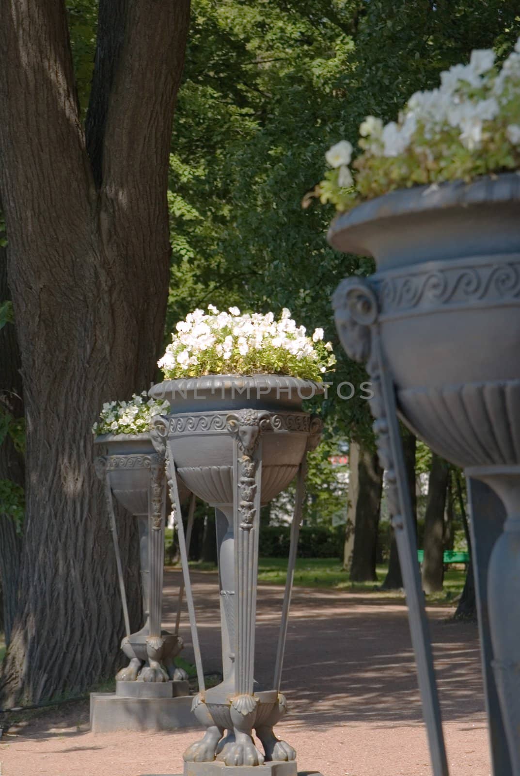 Iron bowl with flowers in summer garden