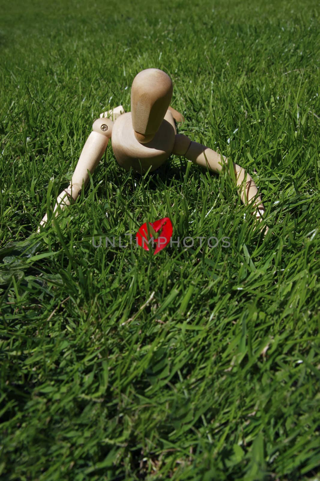 art model man crawling in the grass