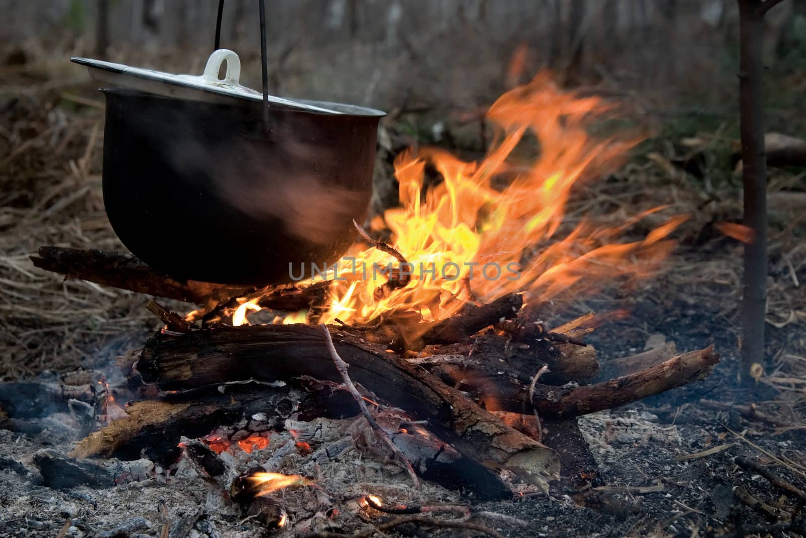 The hunting bonfire with the kettle suspended above him