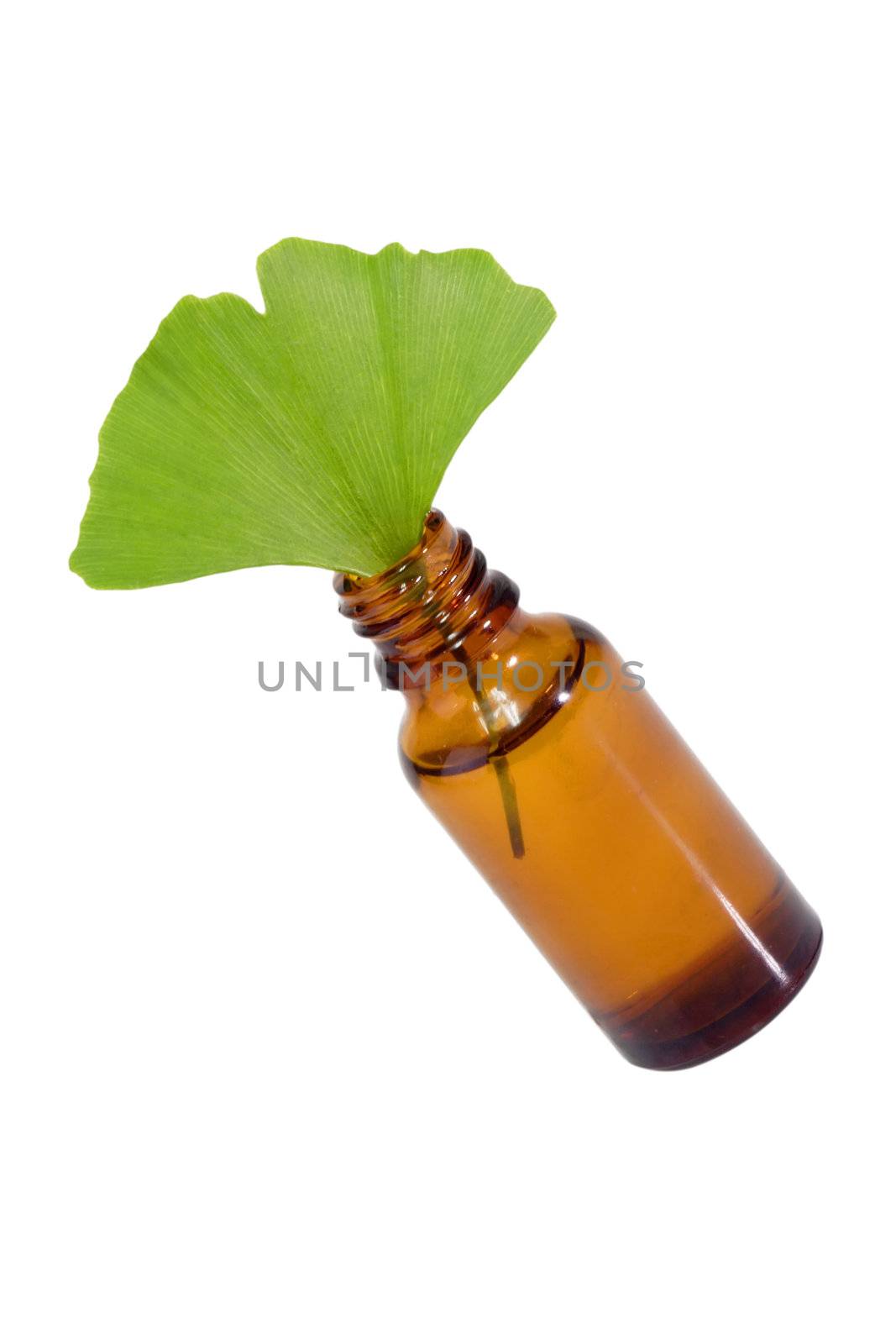 Fresh Ginkgo Biloba leaf with a brown medicine bottle.