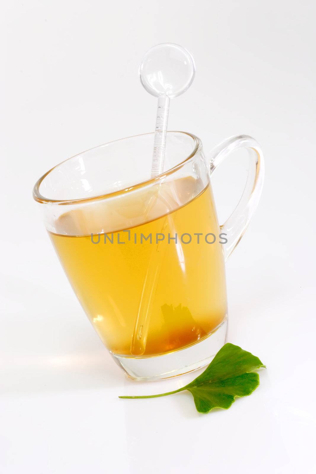 Fresh Ginkgo Biloba leaf with a glass of tea.