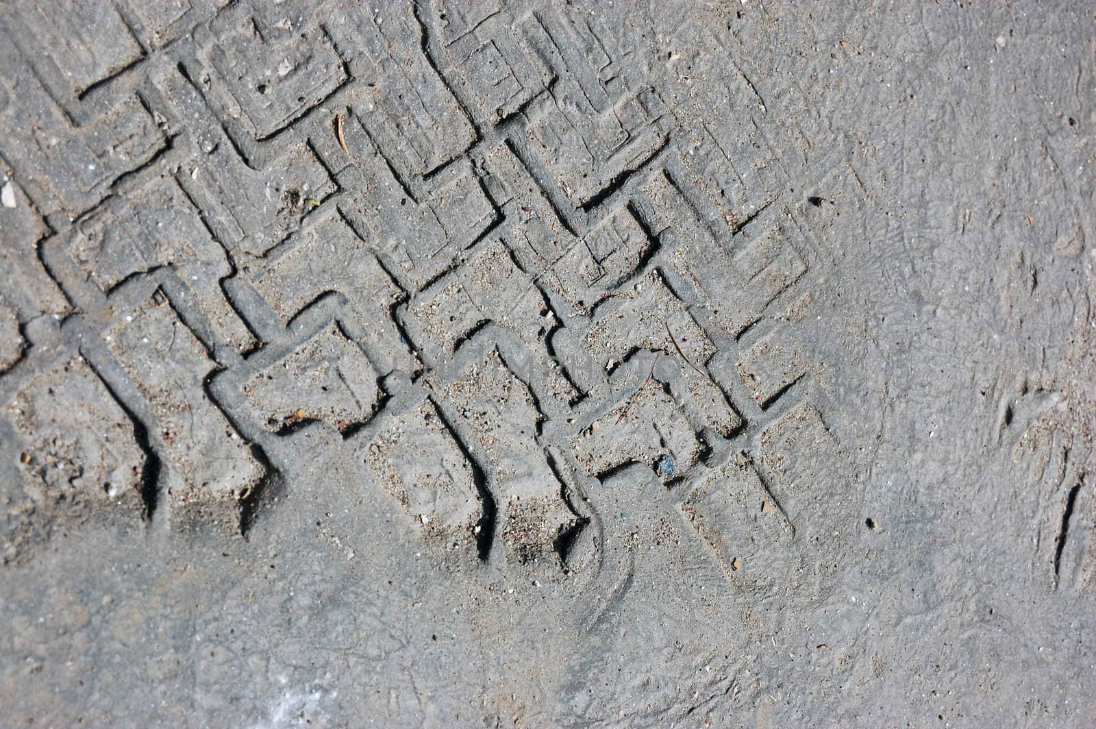 Tire print in asfalt