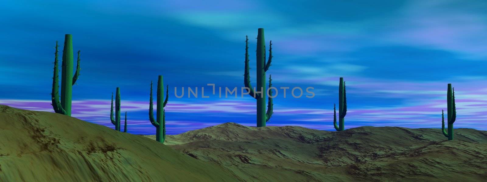 Morning in the desert by Elenaphotos21