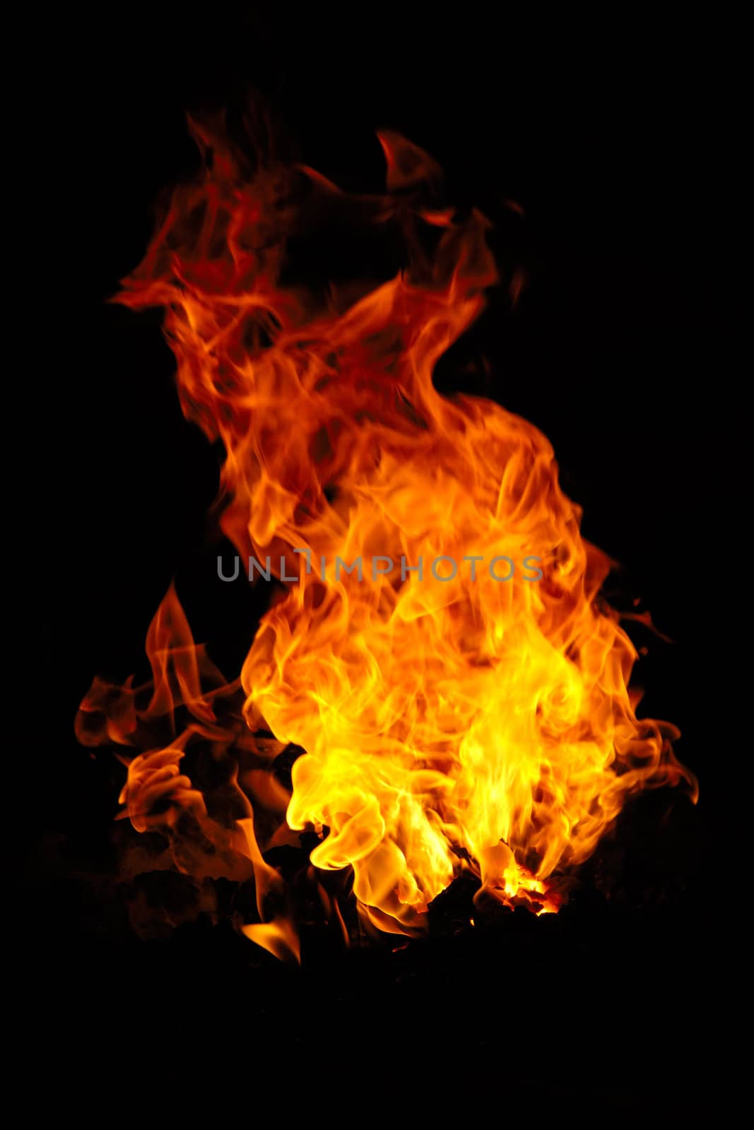 Fire isolated on a black background