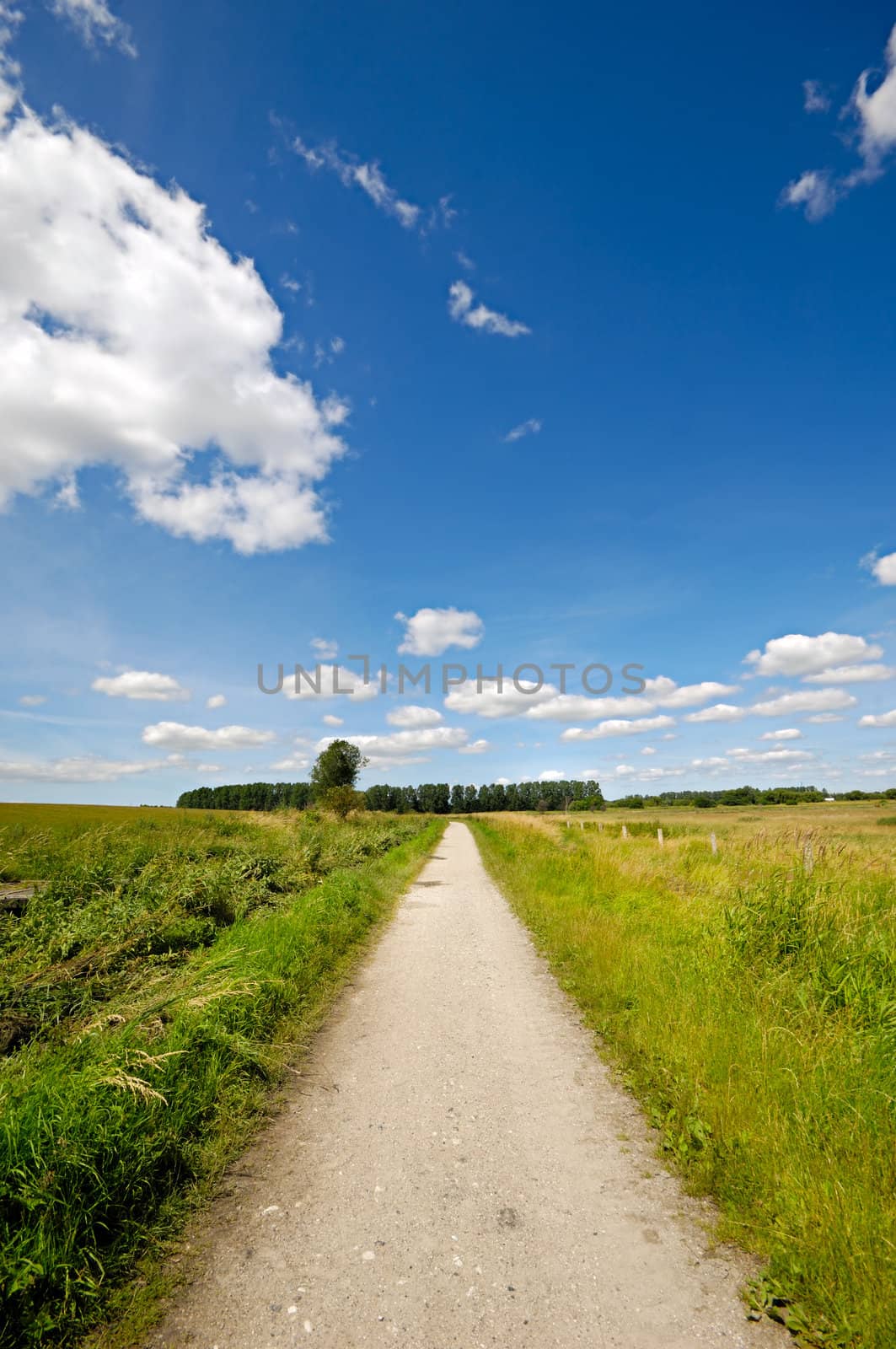A small road and green nature with blue and cloudy sky.