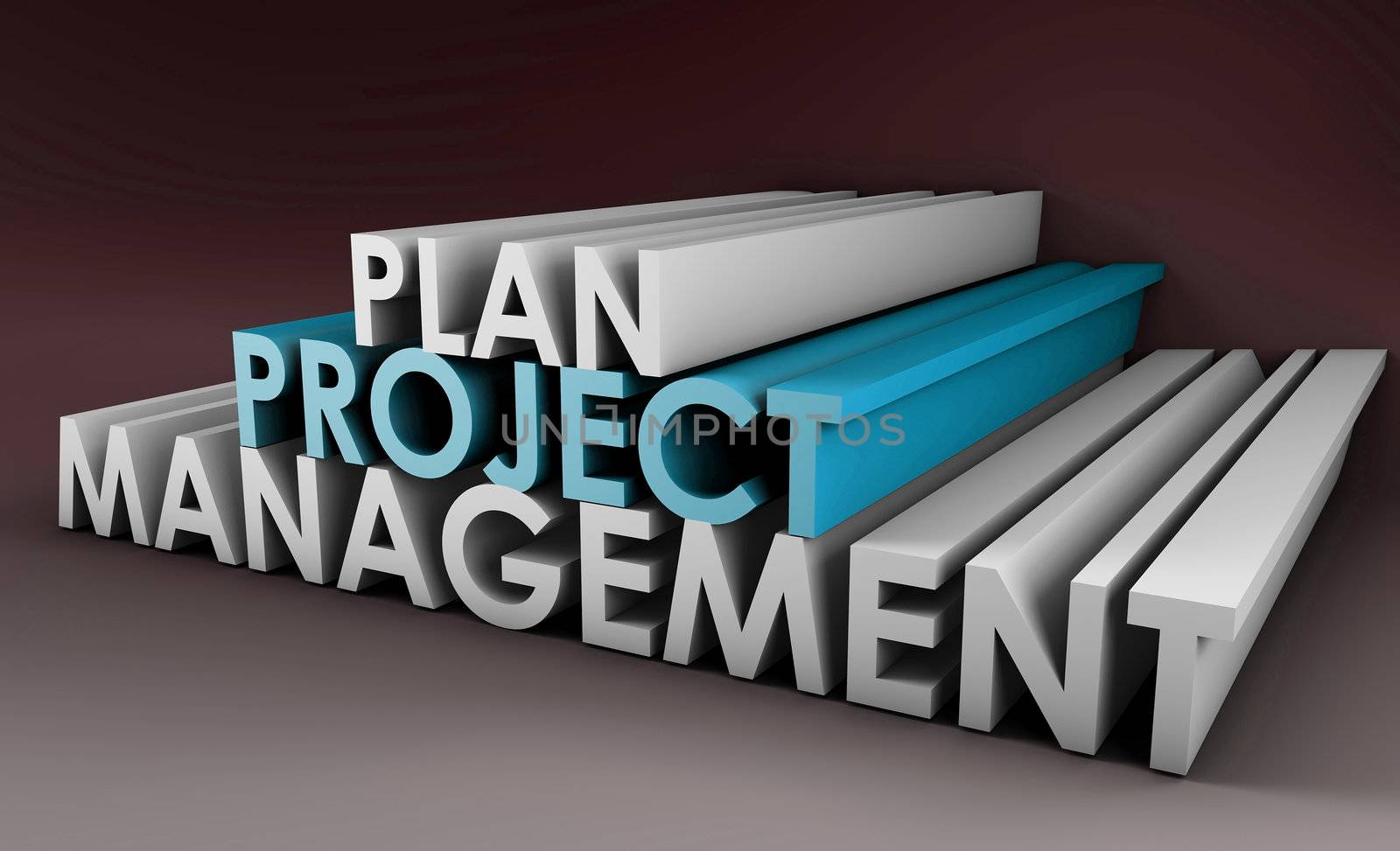 Project Planning and Management in 3D Format
