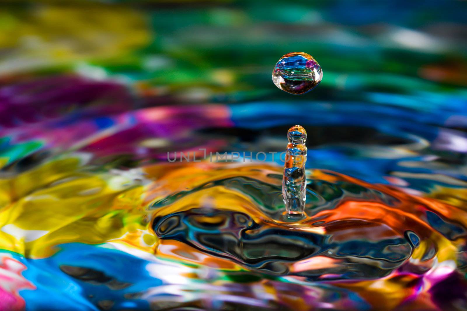 Macro photography of colorful abstract water drop creations.