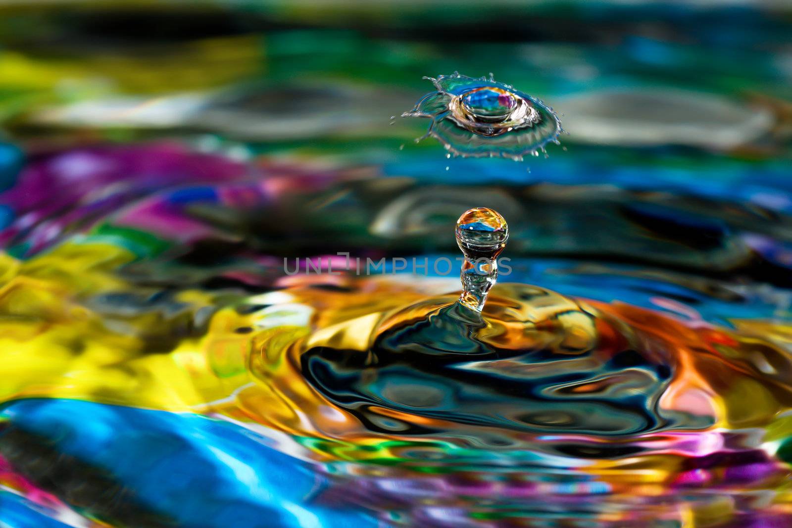 Macro photography of colorful abstract water drop creations.