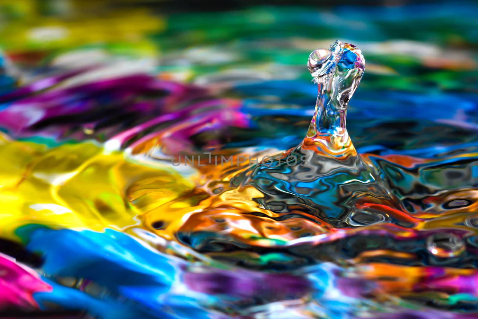 Macro photography of colorful abstract water drop creations.