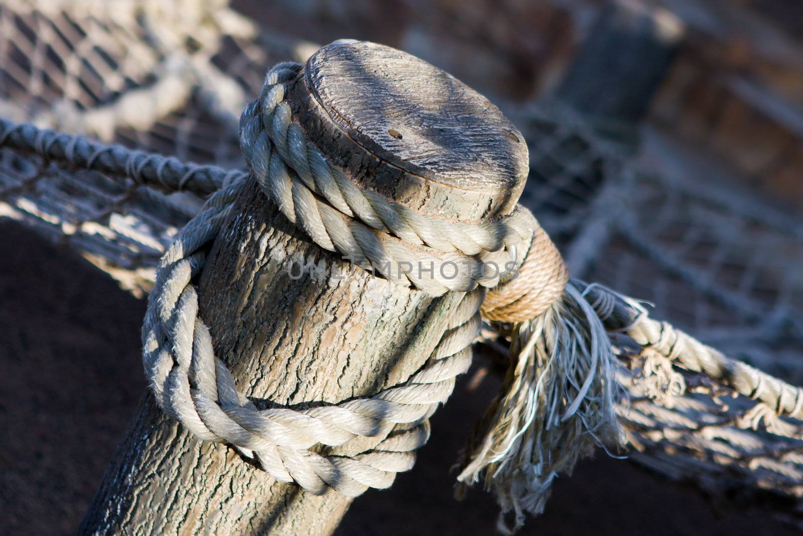 Close-up of rope wrapped around a wooden stake at a park.