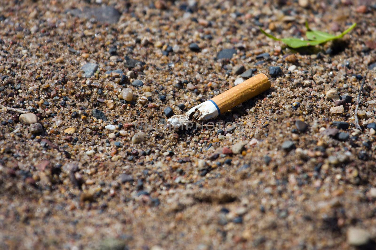 Smoked cigarette smashed and littered on the ground.