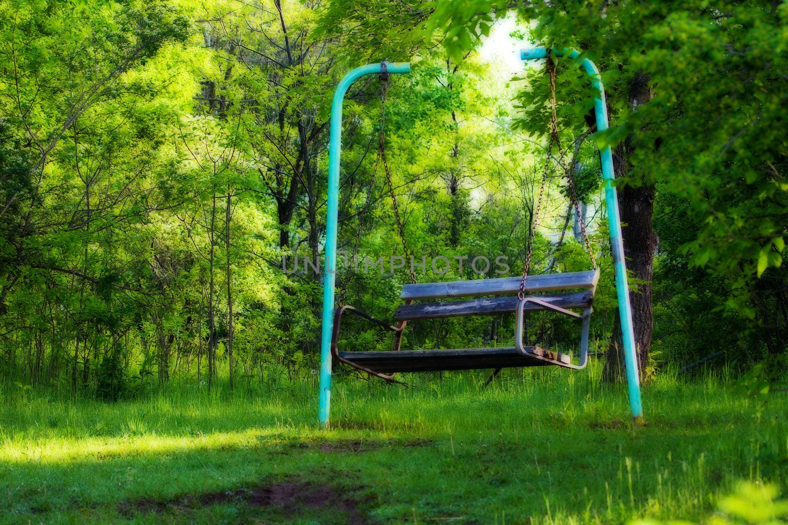 A swinging bench deep in the woods.