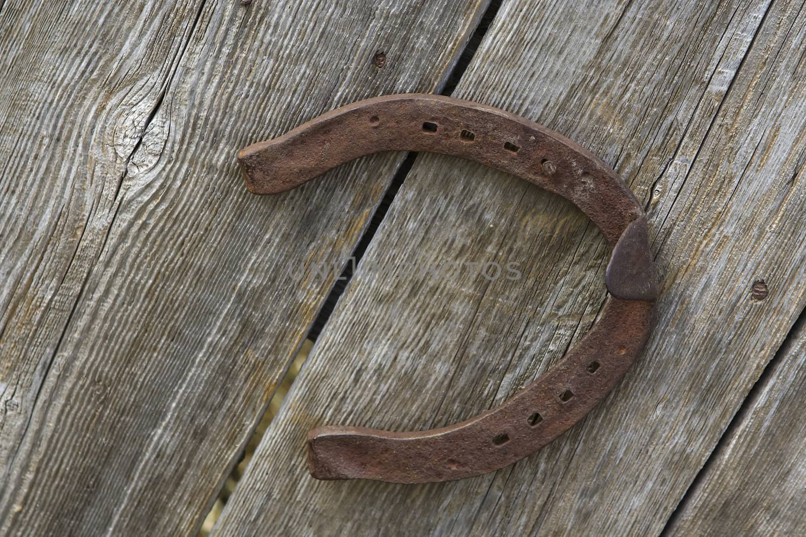 Old rusty horse shoe mounted on a wall.