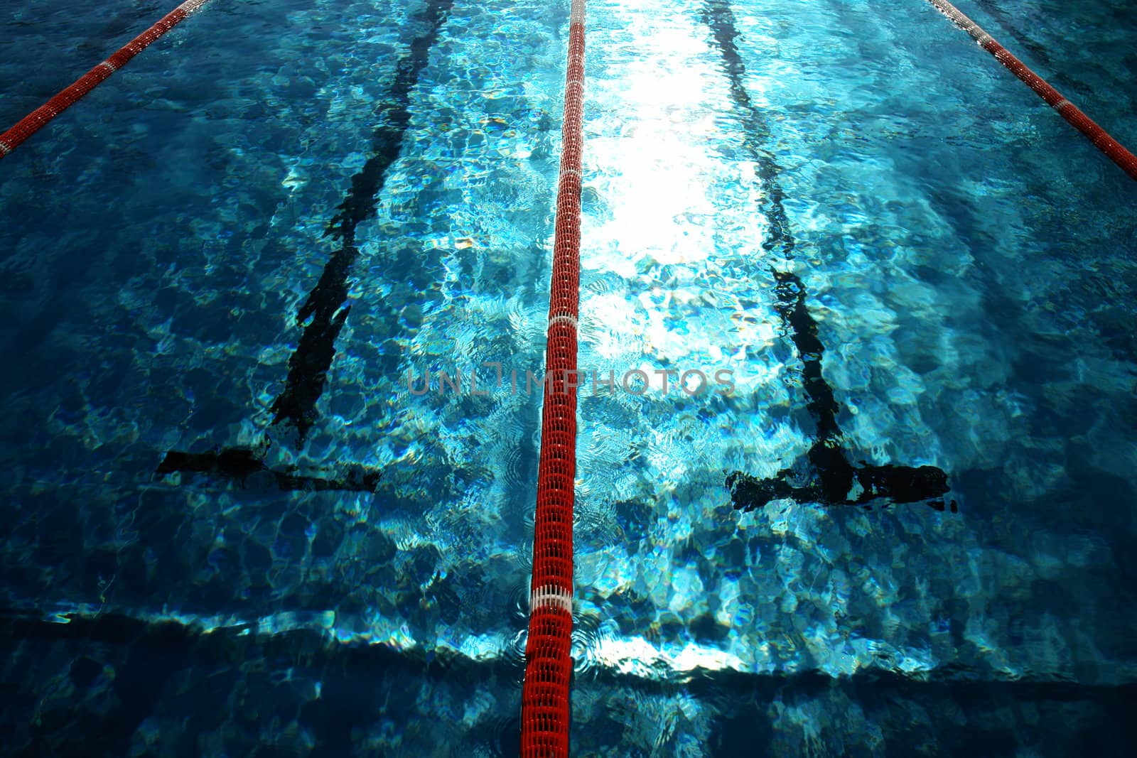 Swimmer in a swimming pool on a hot day