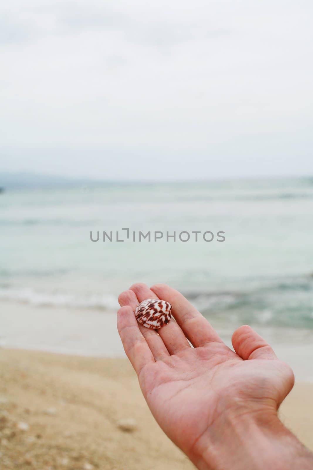 beautiful ocean mood on a warm but cloudy day