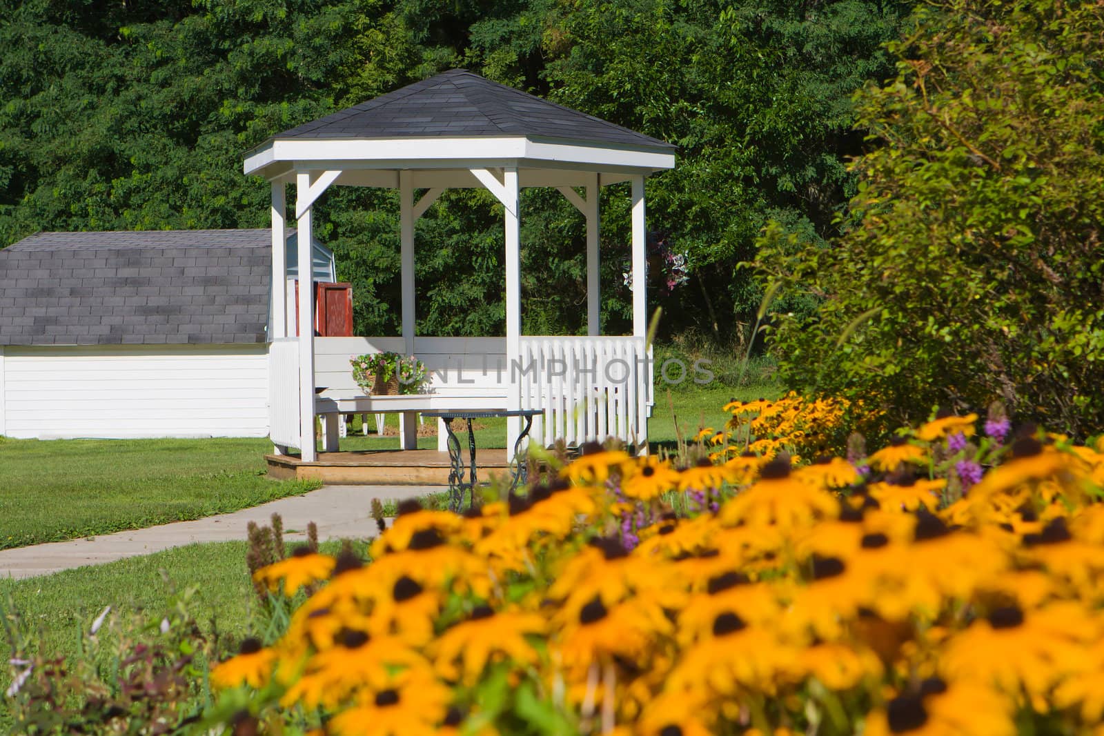 Scenic landscape of a gazebo commonly used for weddings.