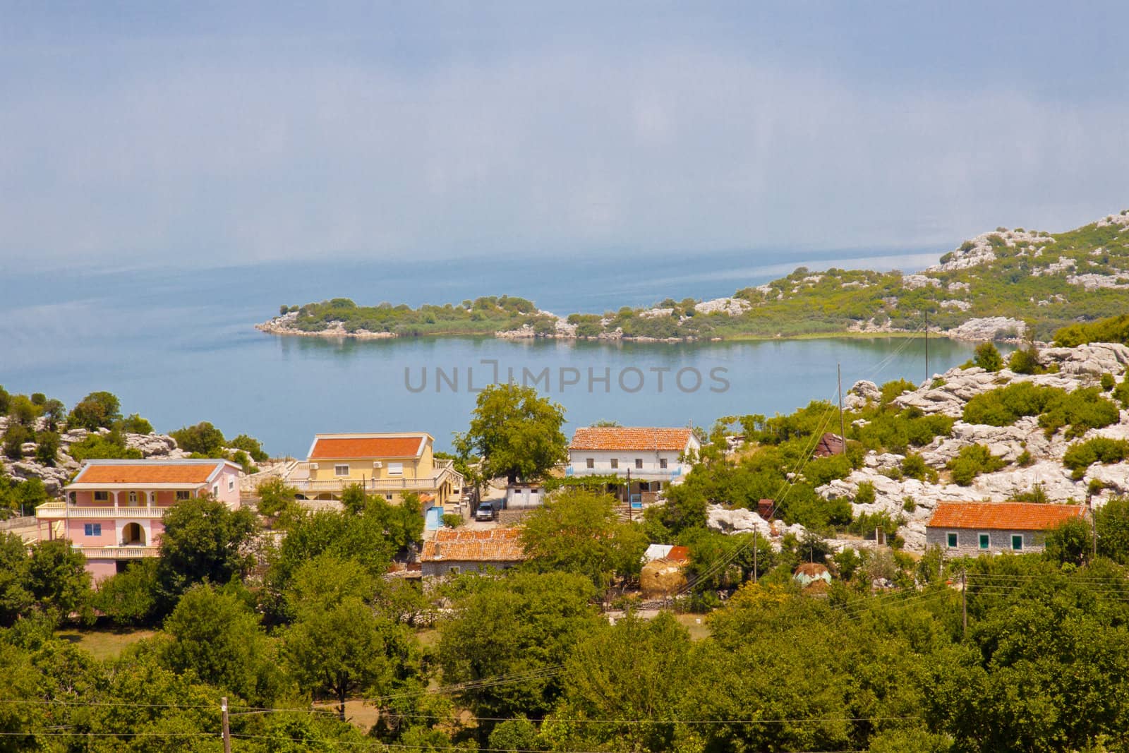 Coast of big beauty Skadarsko lake in south of Montenegro.