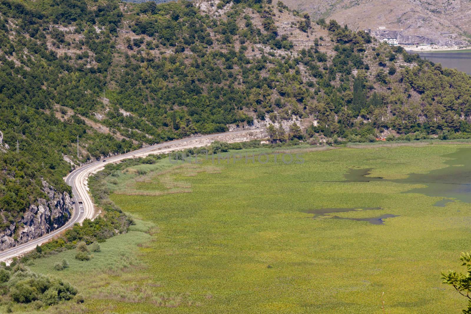 Coast of Skadarsko lake. Aerial view on route to Podgorica.