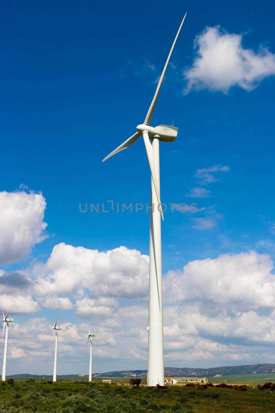 Typical windmill or aerogenerator of aeolian energy