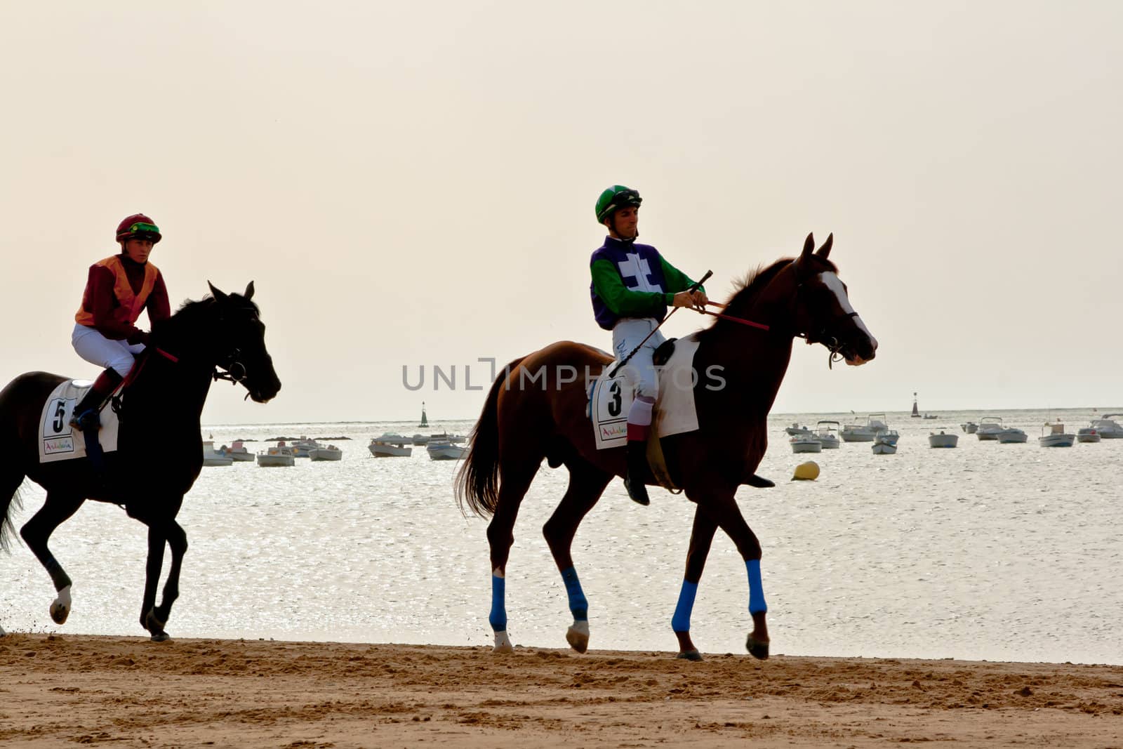SANLUCAR DE BARRAMEDA, CADIZ, SPAIN - AUGUST 11: Unidentified riders at the start of race horses on Sanlucar de Barrameda beach on August 11, 2011 in Sanlucar de Barrameda, Cadiz, Spain.