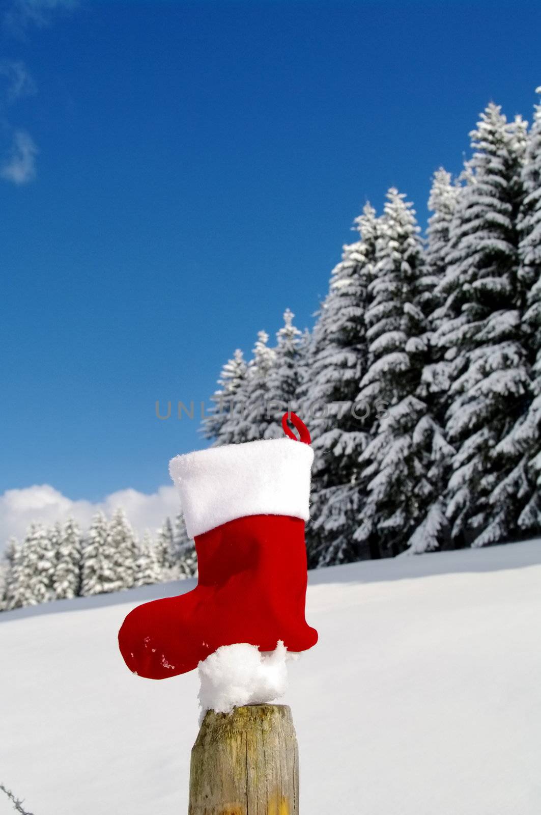 a red bauble in a winter landscape