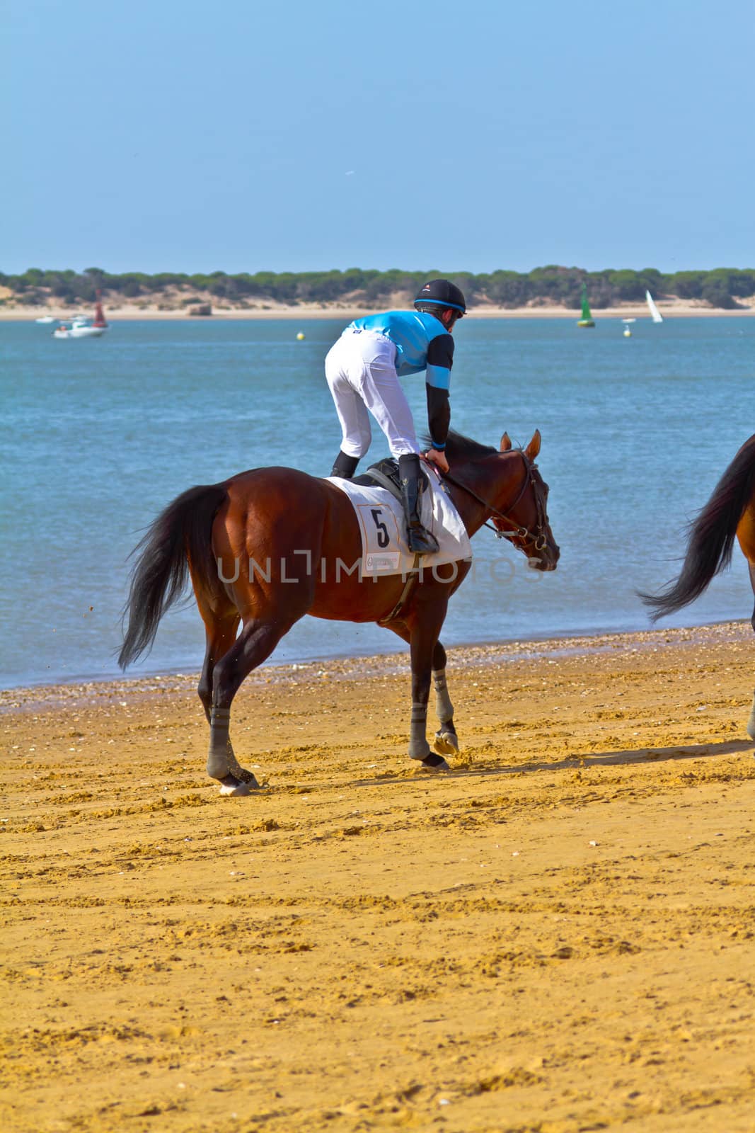 SANLUCAR DE BARRAMEDA, CADIZ, SPAIN - AUGUST 10: Unidentified rider at the start of race horses on Sanlucar de Barrameda beach on August 10, 2011 in Sanlucar de Barrameda, Cadiz, Spain.