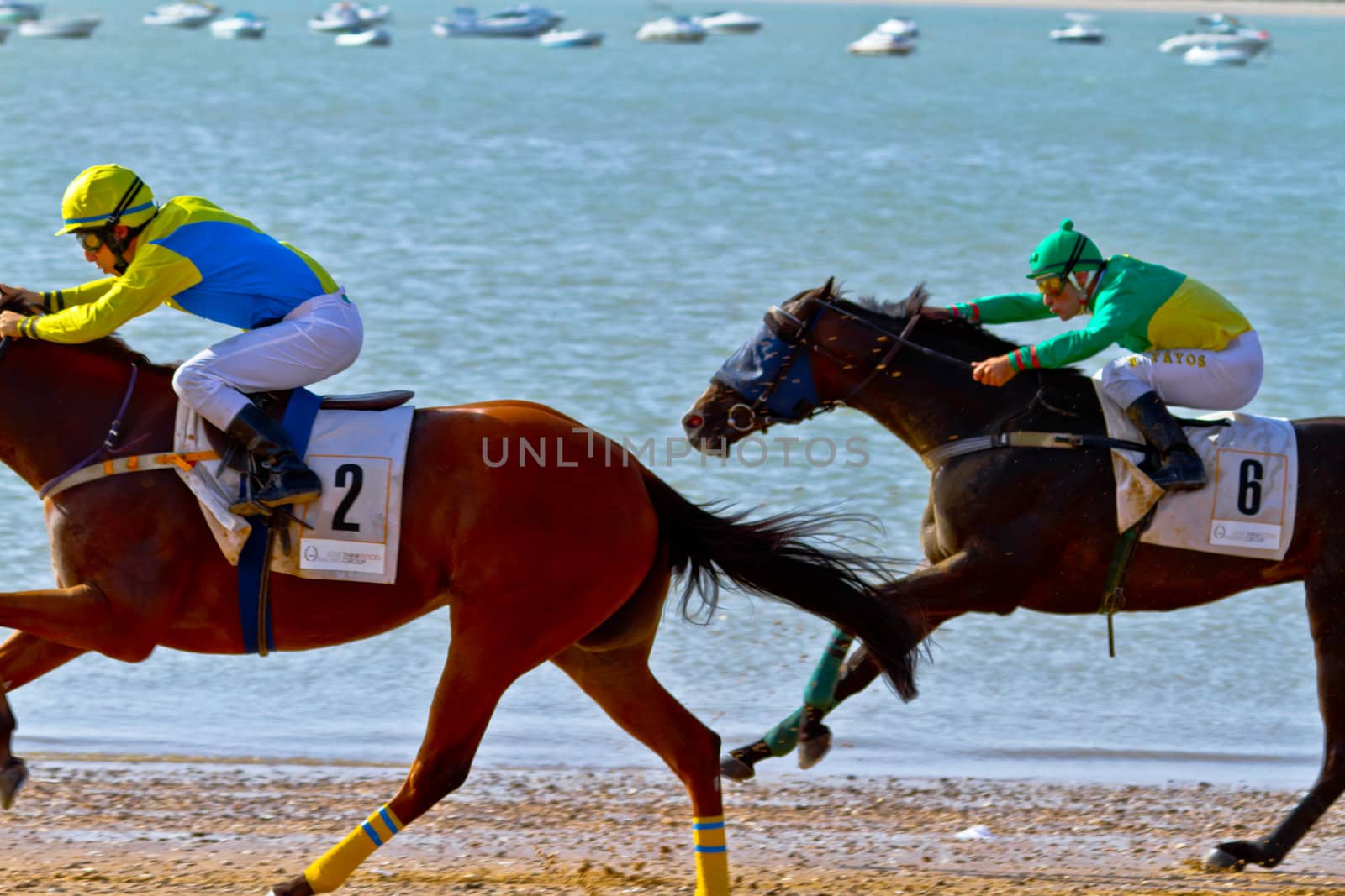 SANLUCAR DE BARRAMEDA, CADIZ, SPAIN - AUGUST 10: Unidentified riders race horses on Sanlucar de Barrameda beach on August 10, 2011 in Sanlucar de Barrameda, Cadiz, Spain.