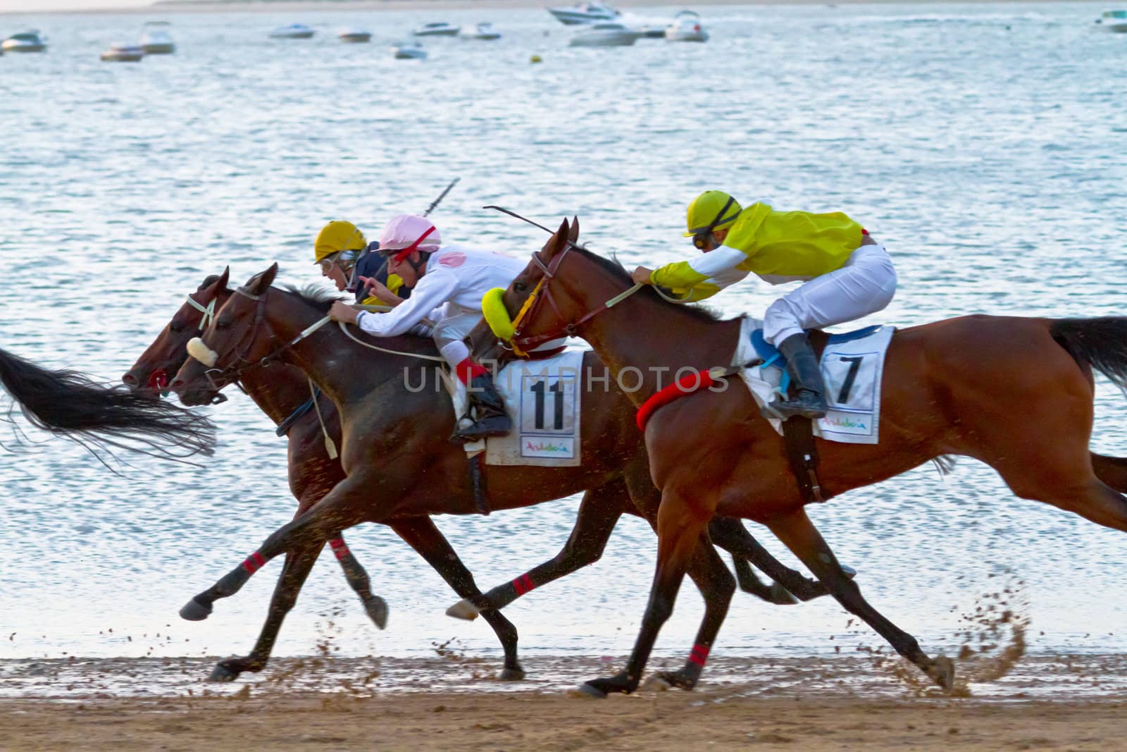 SANLUCAR DE BARRAMEDA, CADIZ, SPAIN - AUGUST 10: Unidentified riders race horses on Sanlucar de Barrameda beach on August 10, 2011 in Sanlucar de Barrameda, Cadiz, Spain.