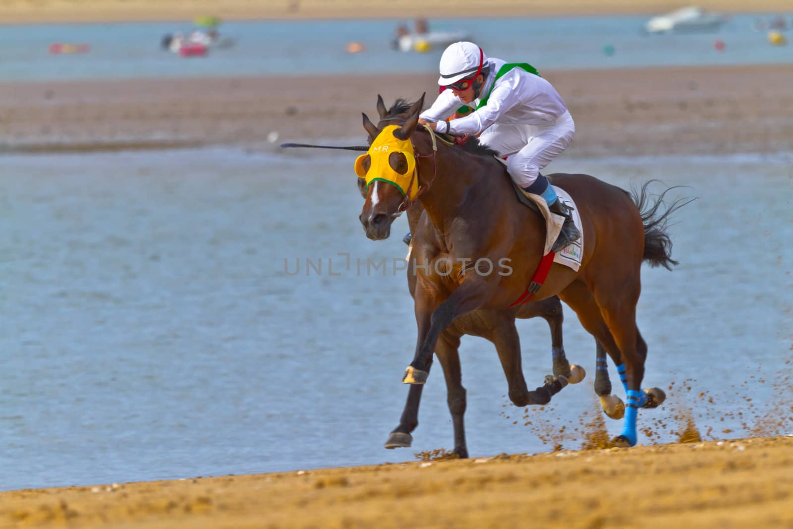 SANLUCAR DE BARRAMEDA, CADIZ, SPAIN - AUGUST 11: Unidentified riders race horses on Sanlucar de Barrameda beach on August 11, 2011 in Sanlucar de Barrameda, Cadiz, Spain.
