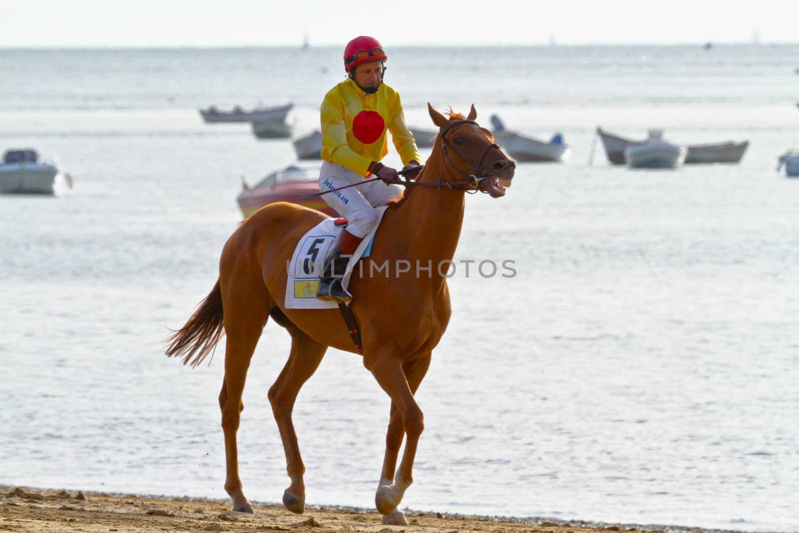 SANLUCAR DE BARRAMEDA, CADIZ, SPAIN - AUGUST 11: Unidentified rider at the start of race horses on Sanlucar de Barrameda beach on August 11, 2011 in Sanlucar de Barrameda, Cadiz, Spain.