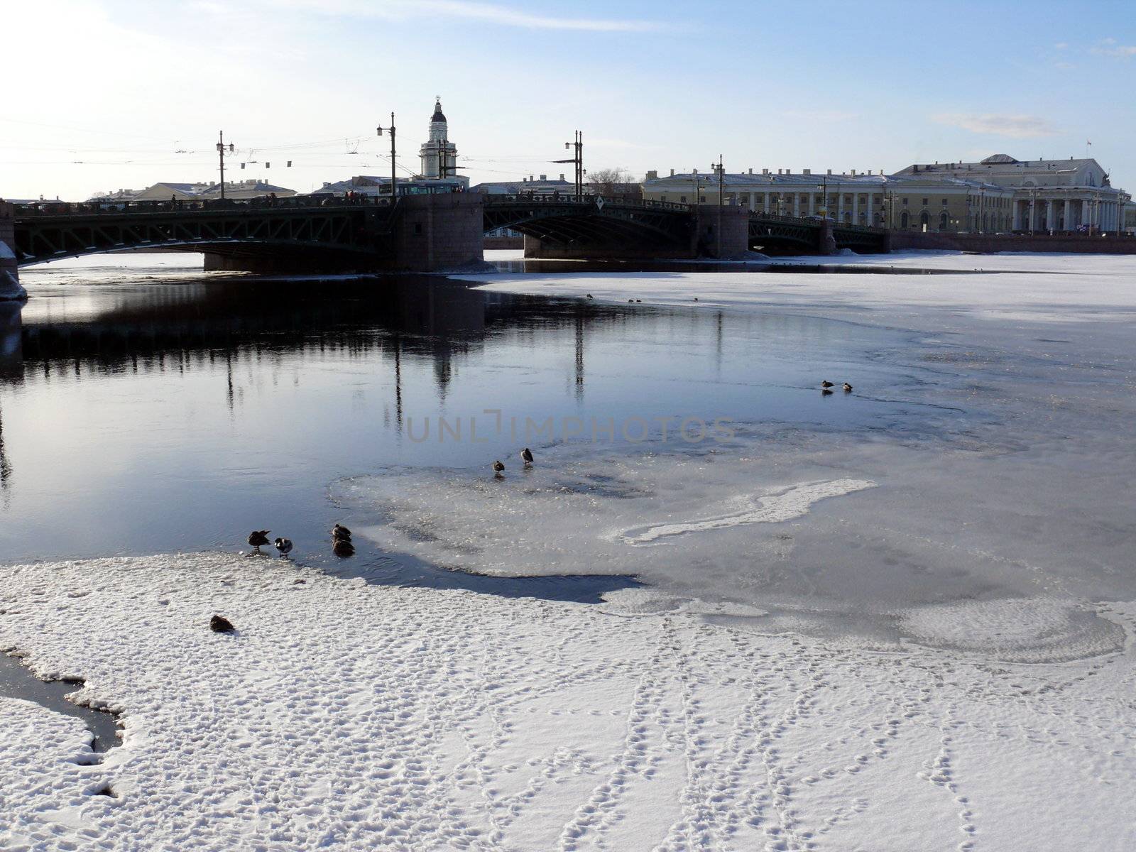 Bridge in Saint-Petersburg, Russia