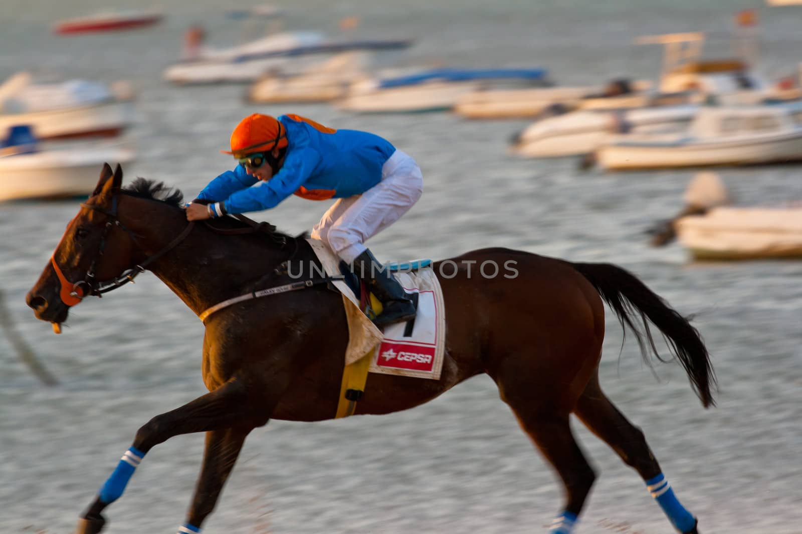 SANLUCAR DE BARRAMEDA, CADIZ, SPAIN - AUGUST 07: Unidentified rider race horses on Sanlucar de Barrameda beach on August 28, 2008 in Sanlucar de Barrameda, Cadiz, Spain.