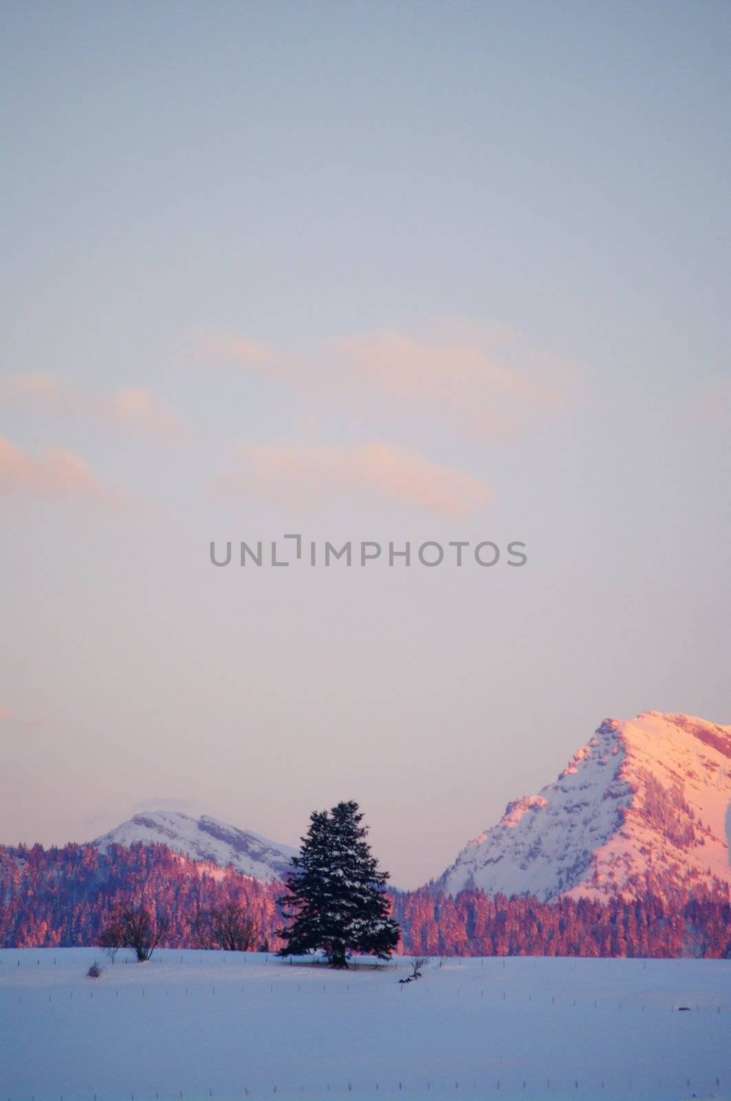 Winter mountains on a bright sunny day by yucas