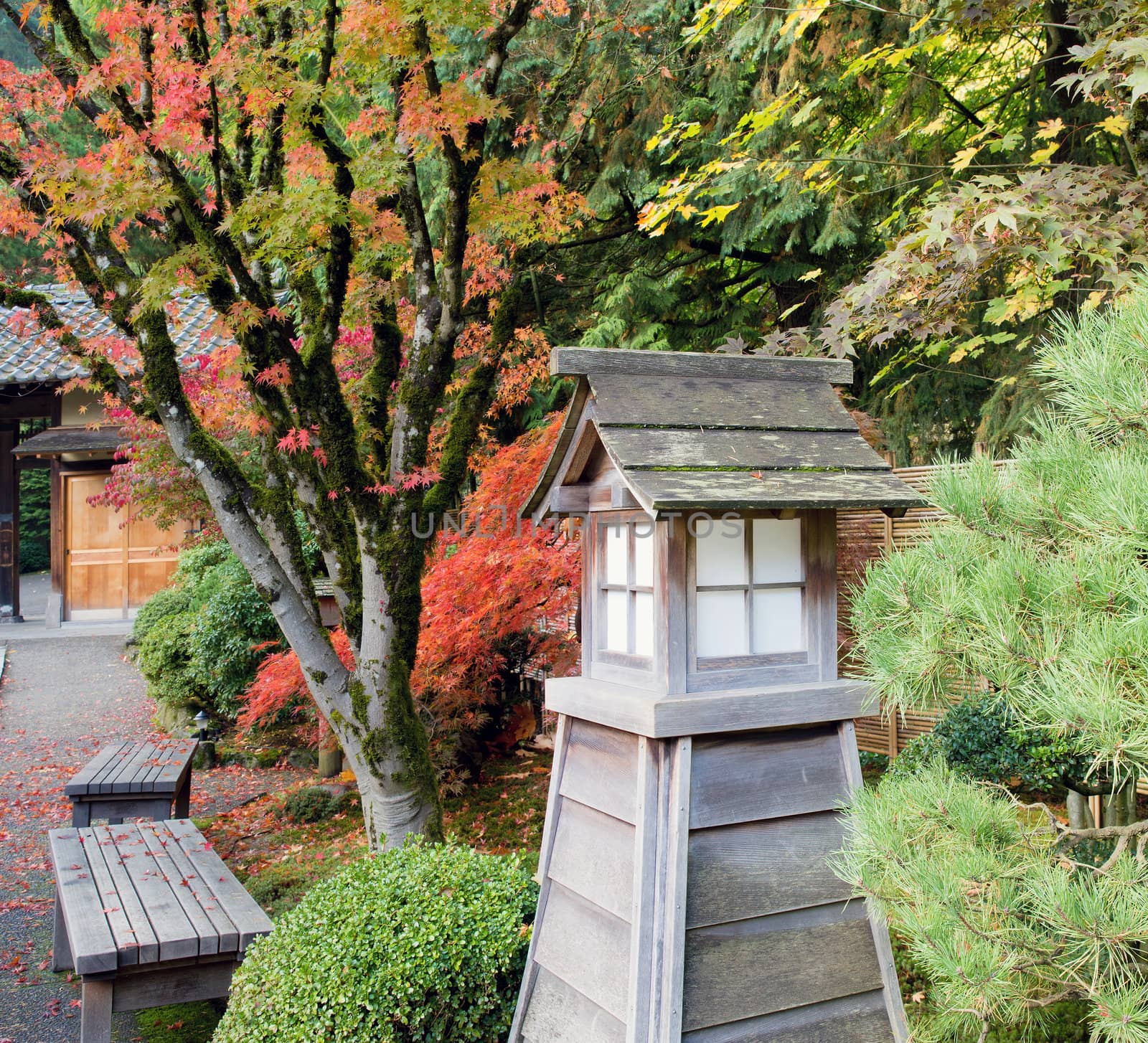 Japanese Garden Wooden Park Benches in the Fall