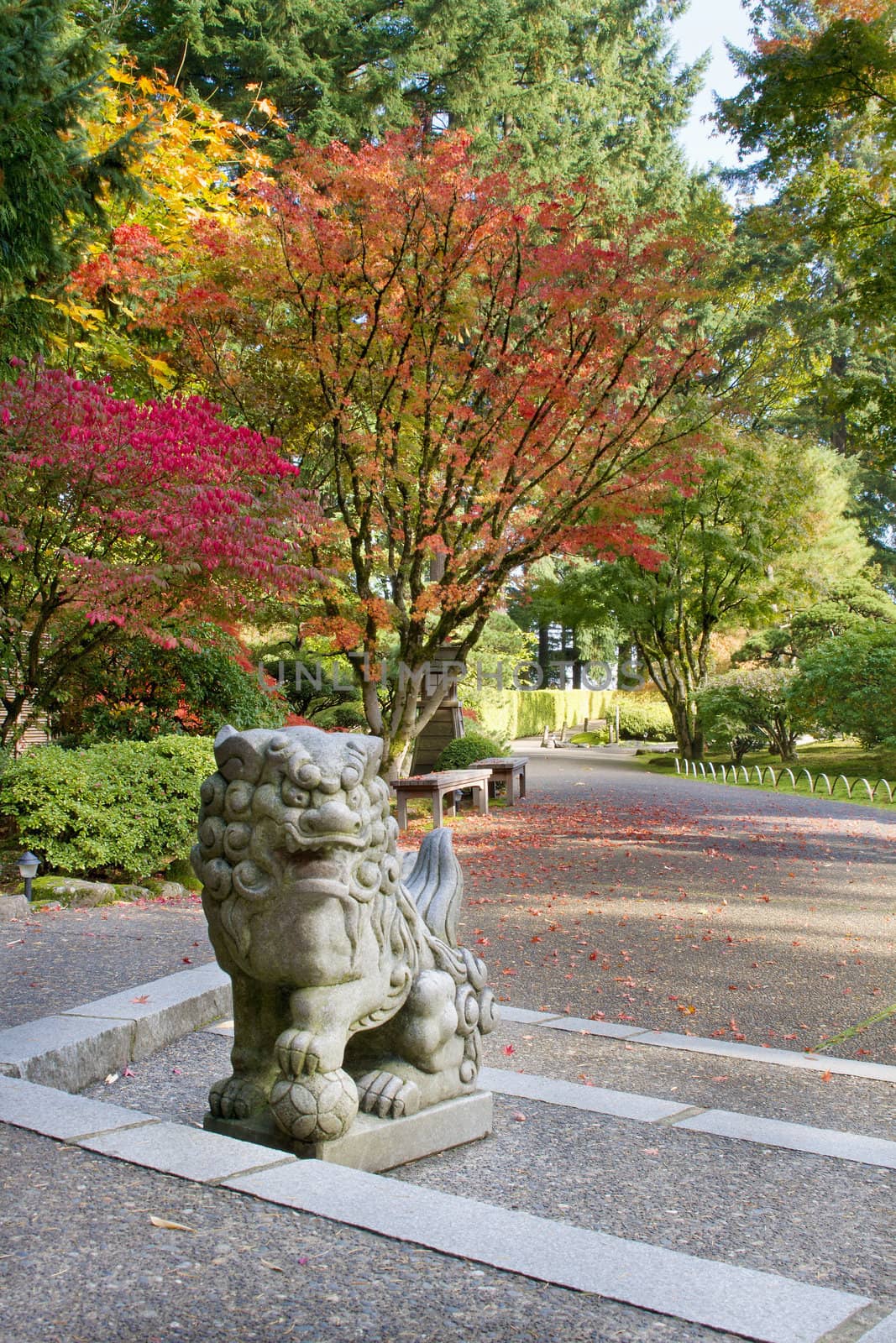 Shishi Lion Protector Stone Statue in Japanese Garden in Fall