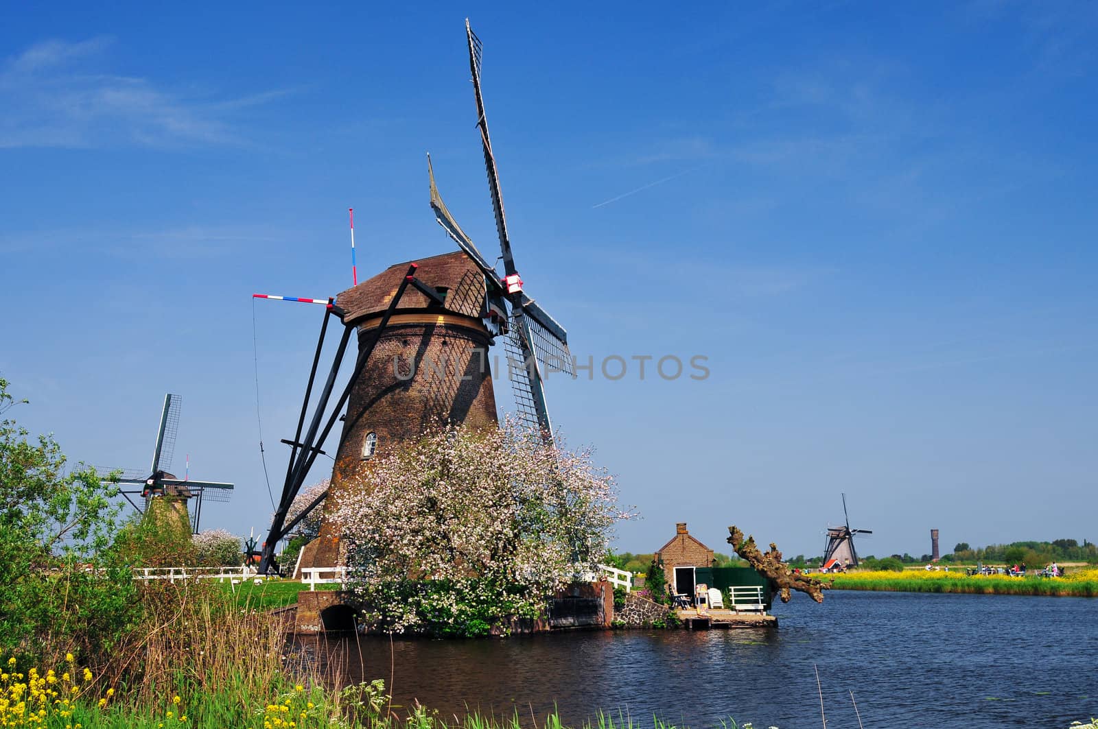 Wind Mill by maxoliki