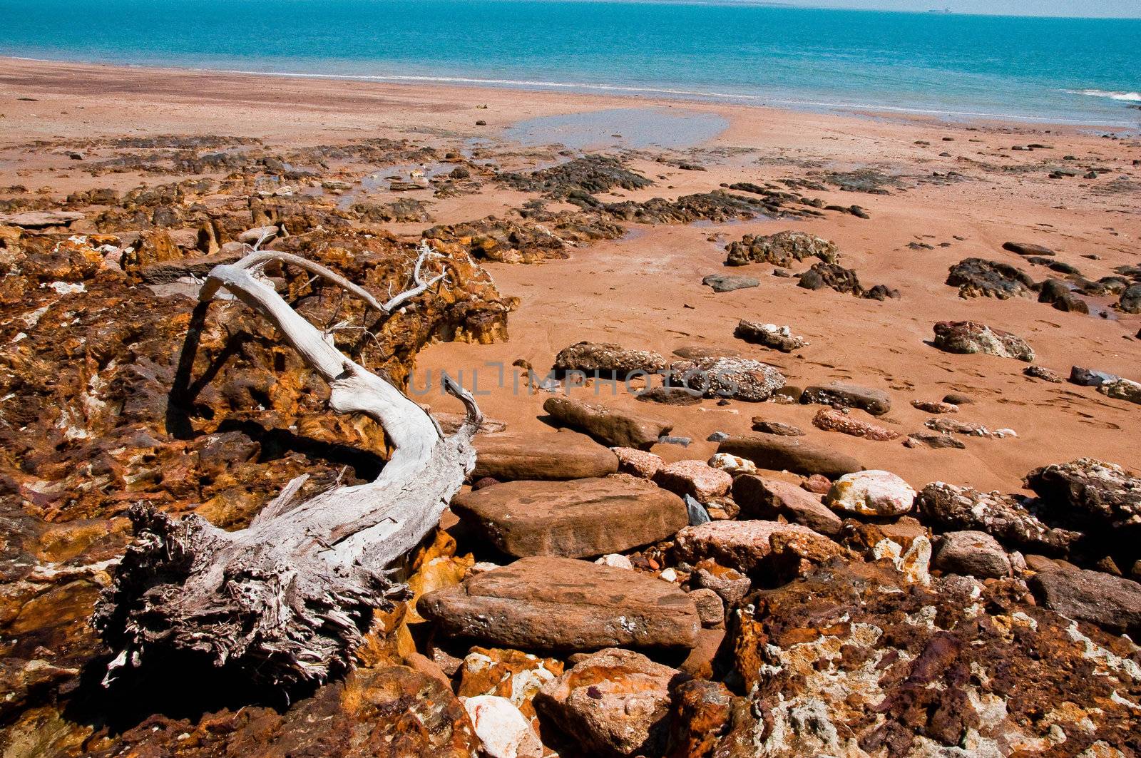 Darwin coast by edella