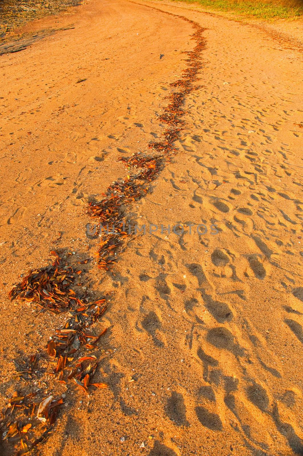 red sand on the Darwin beach, australia