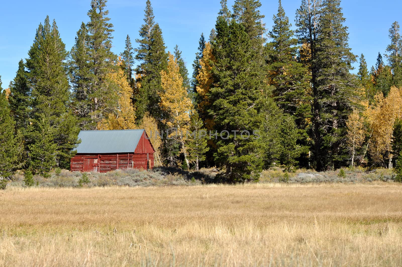 Cabin in the Sierra Nevada Mountains