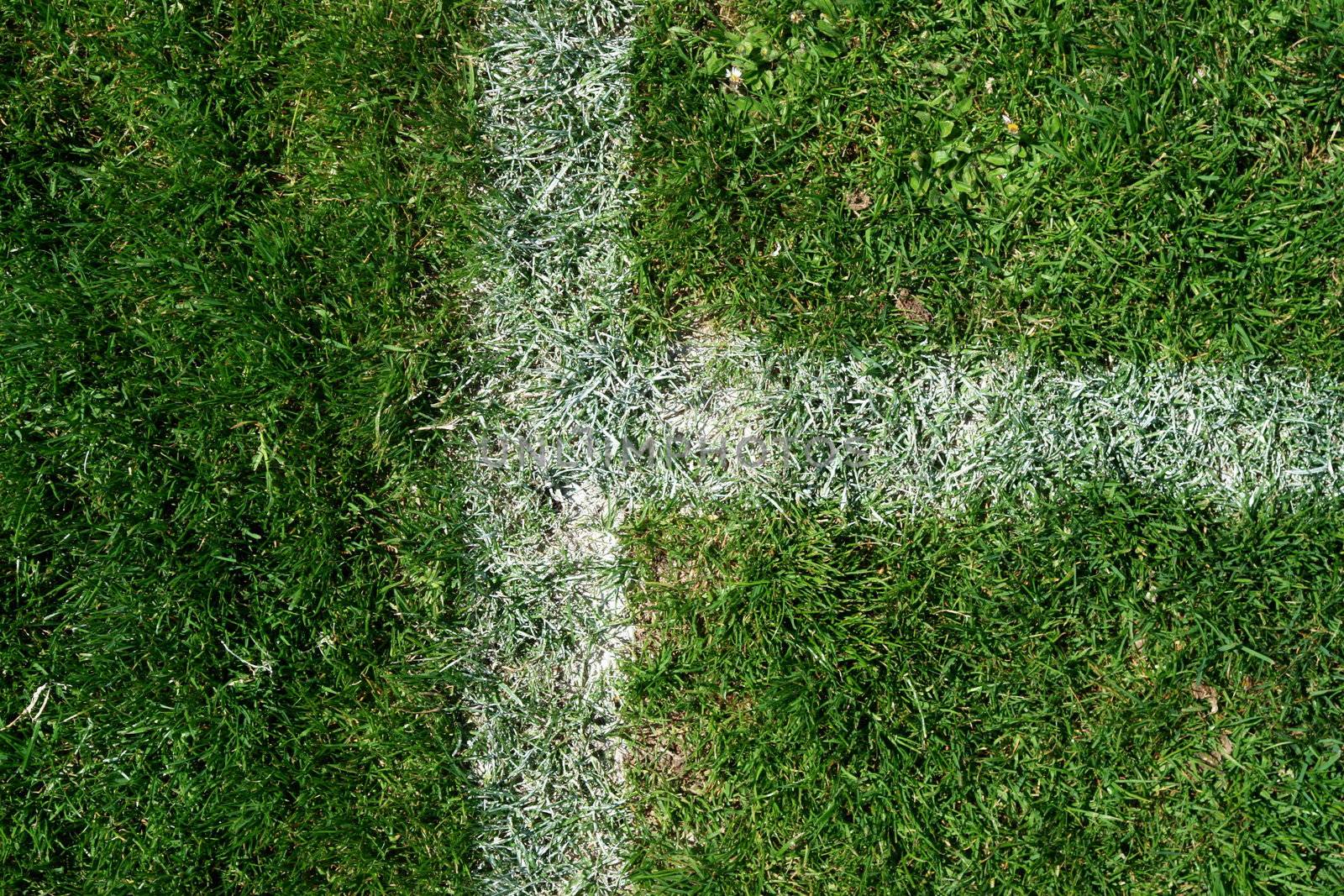 soccer field close-ups of markings on a sunny day