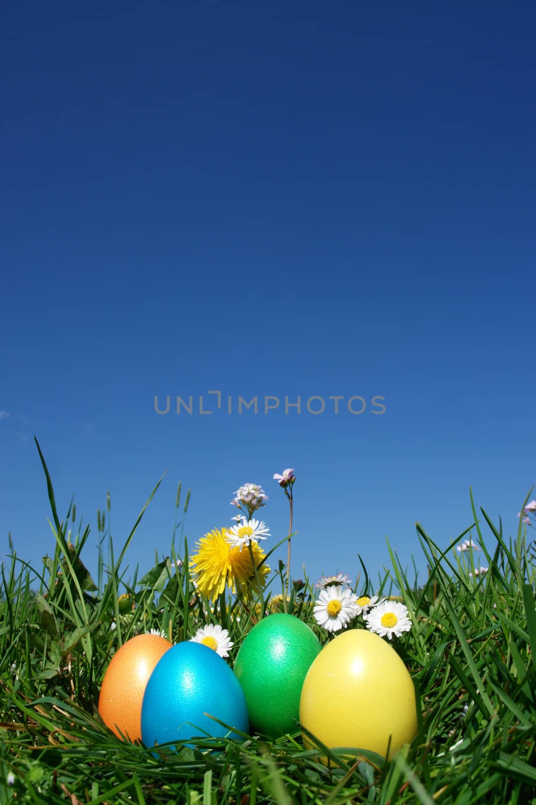 colorful Easter egg in the fresh  spring meadow