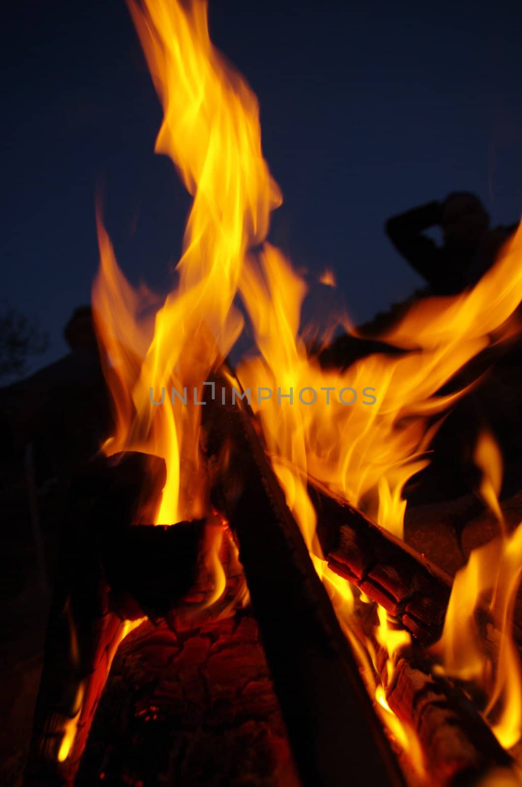 a nice campfire burning outside in summer