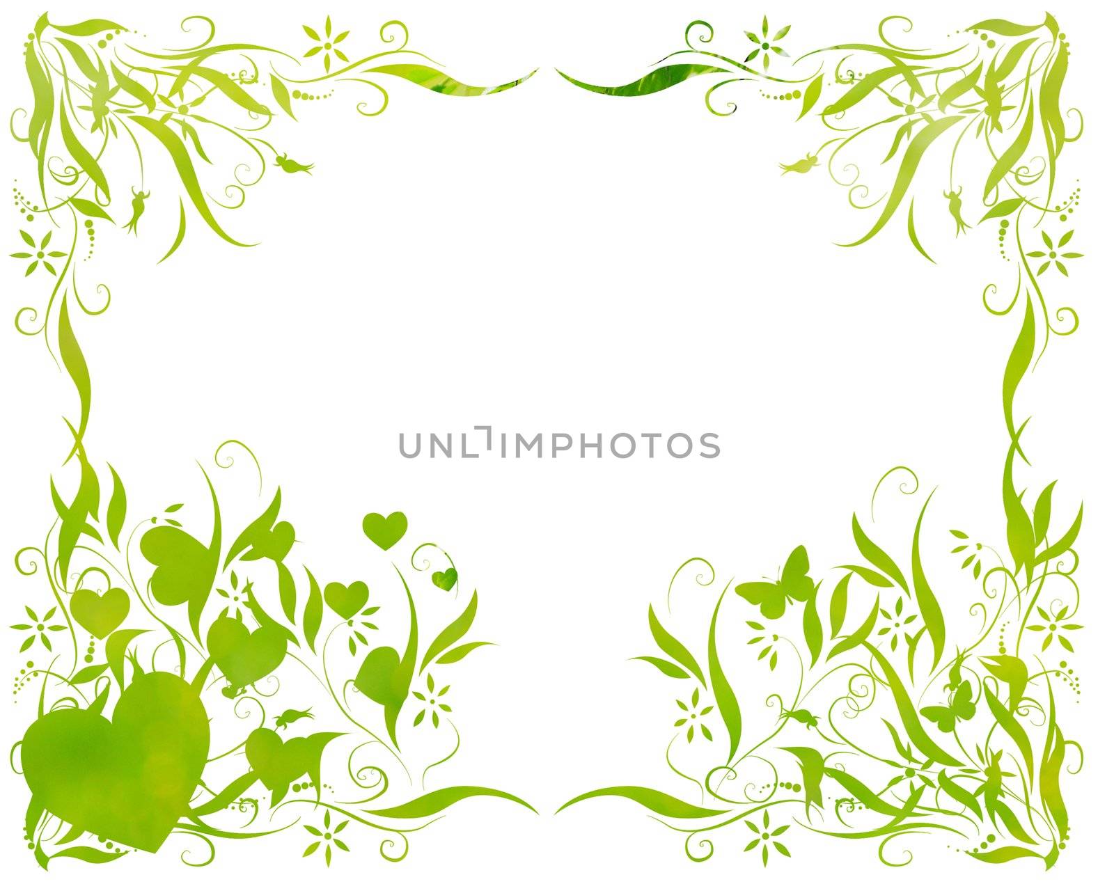 floral foliage beautiful arty background against white