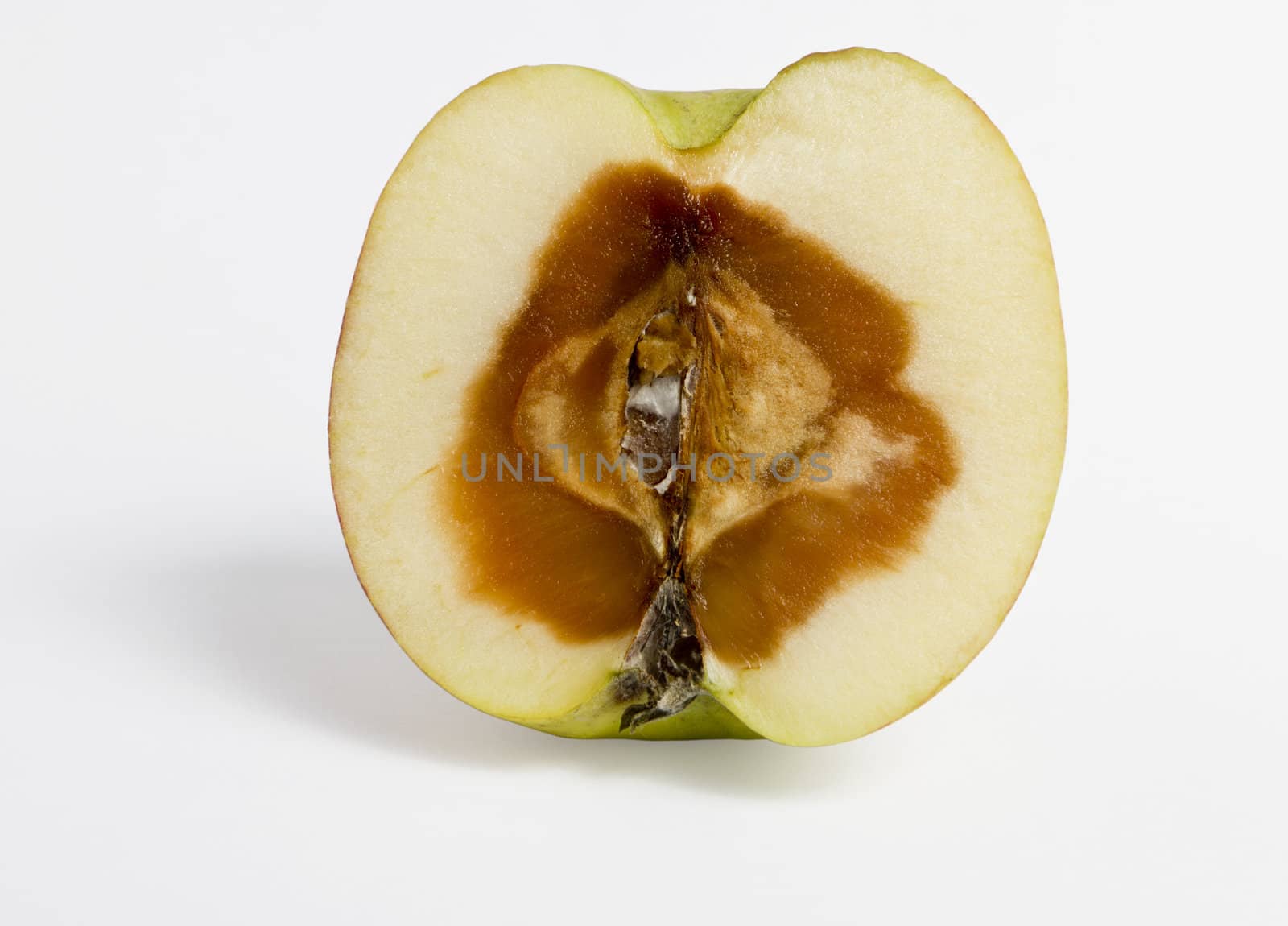 feculent apple - rotten from the center - grey background - with clipping path