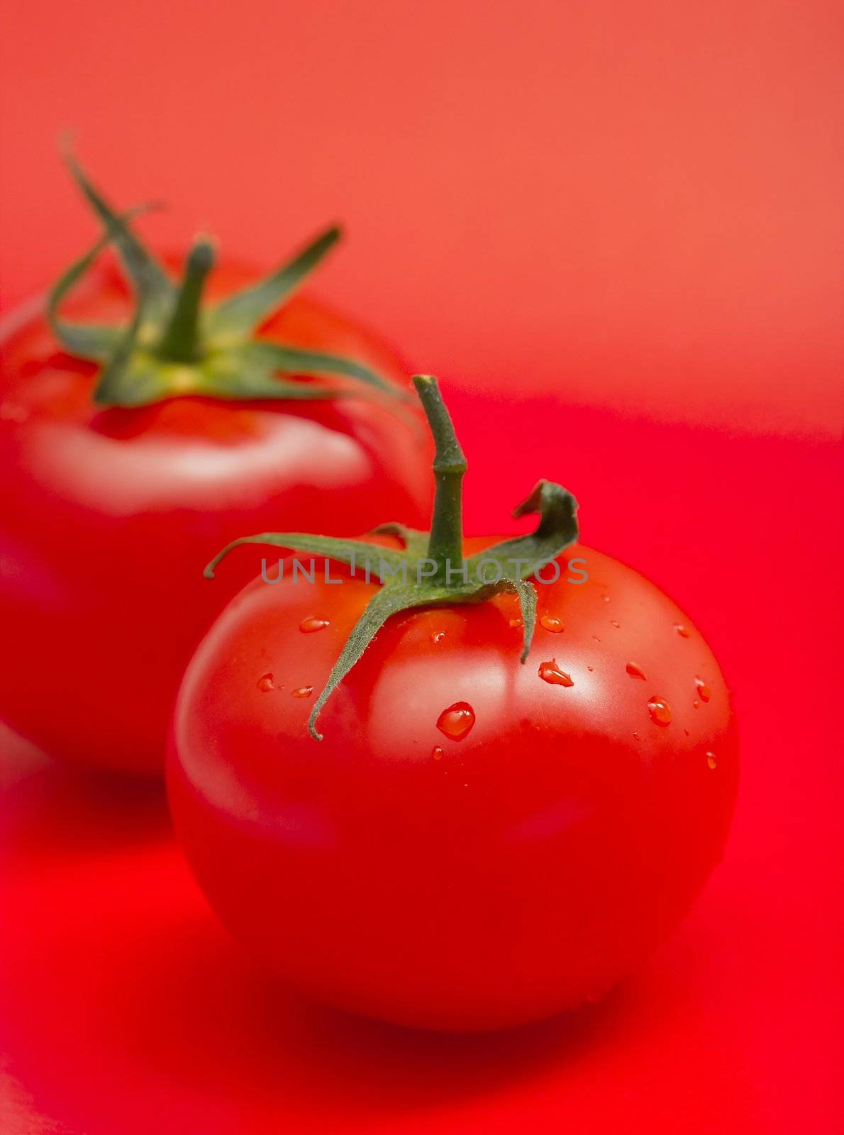Tomatos on red background