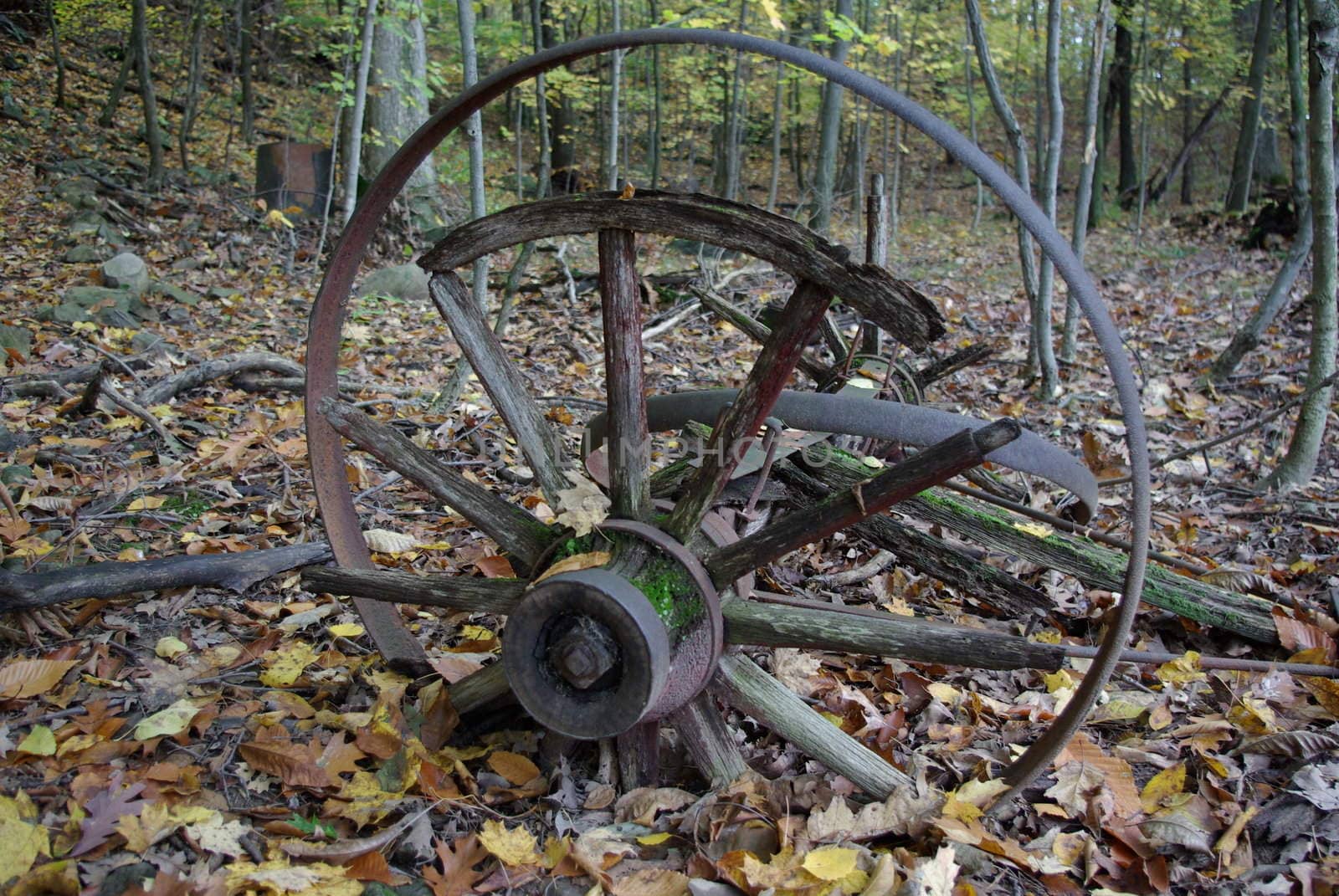 old carriage wheel